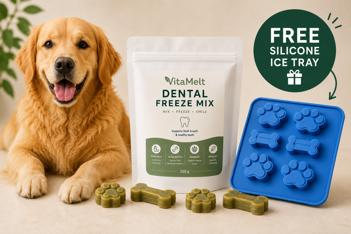 VitaMelt Dental Freeze Mix